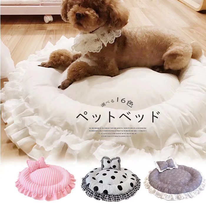 犬の名前を決める前に押さえたい基本ポイント