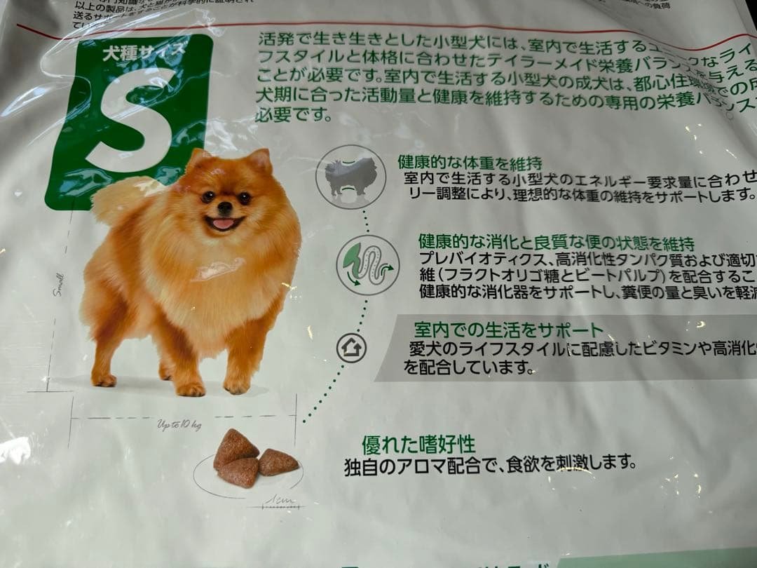 愛犬の性格別・お散歩再開の工夫アイデア