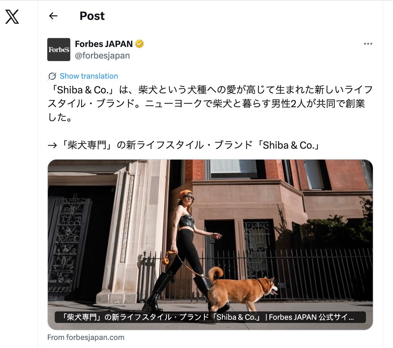 犬種別に人気のメス犬の名前ランキング