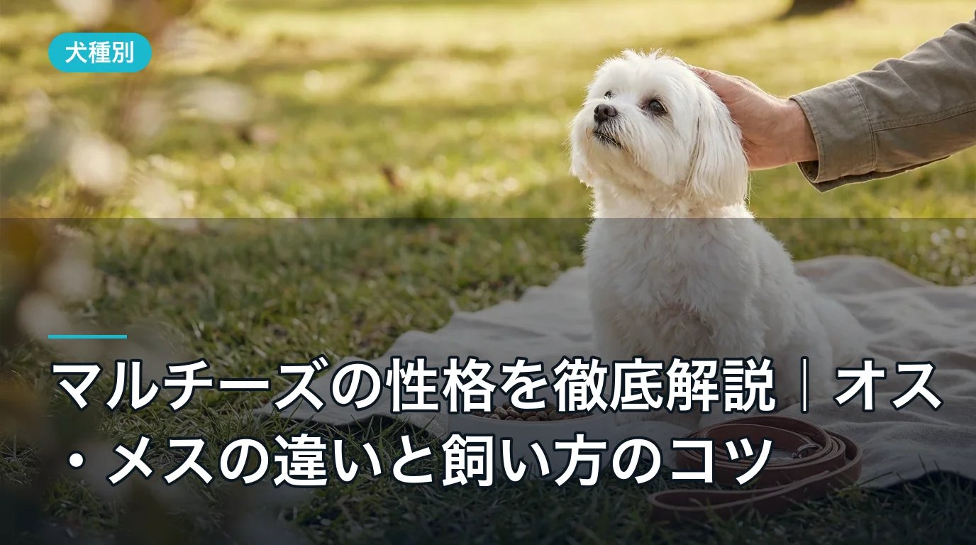 オス・メス別に人気なトイプードルの名前傾向