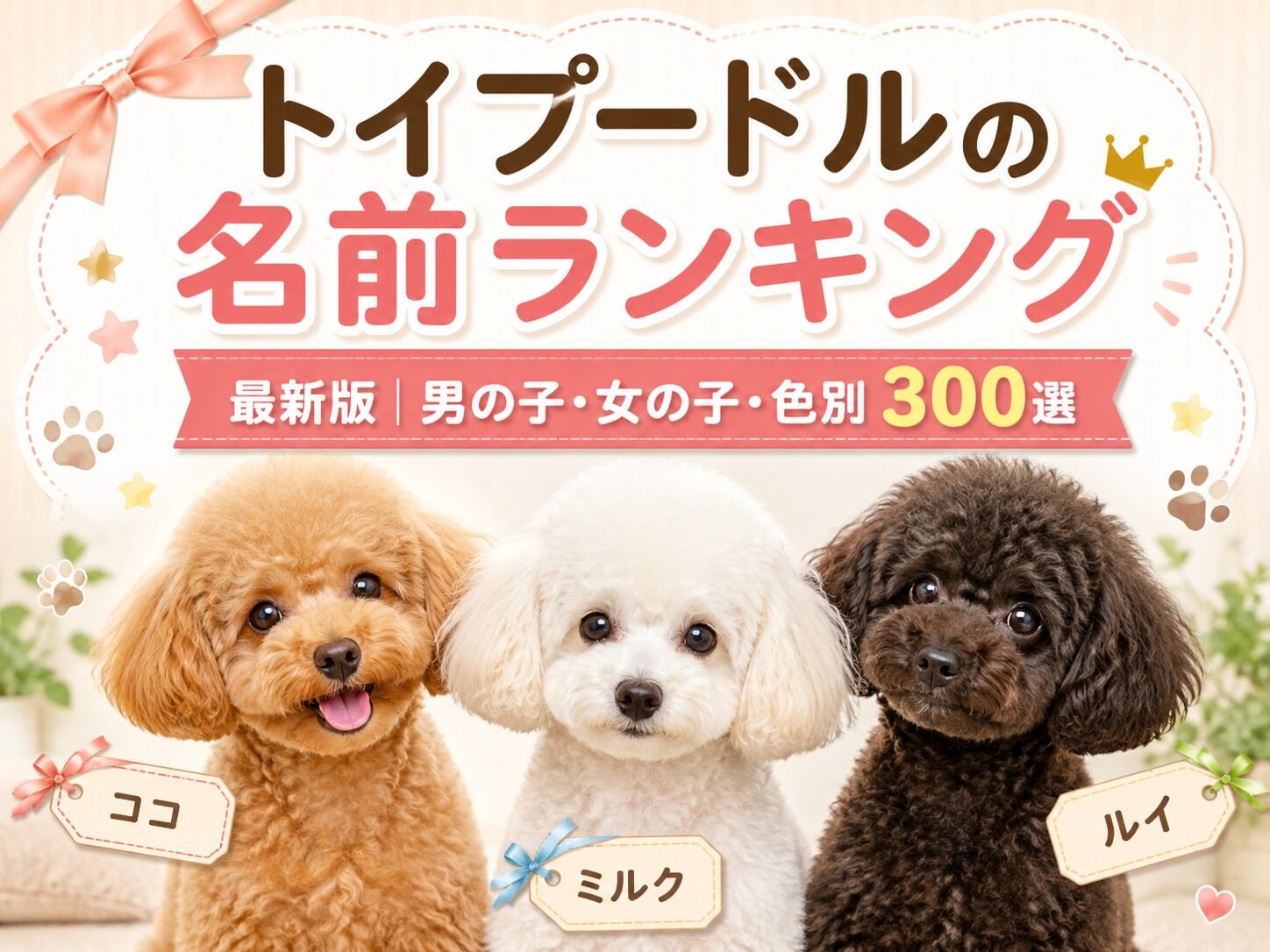 犬種・毛色別に似合う和風クールネーム