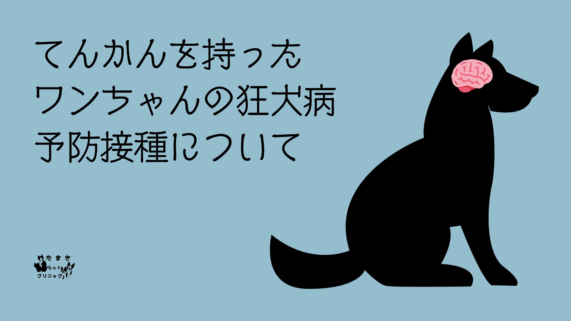 こんな症状があればすぐに動物病院へ