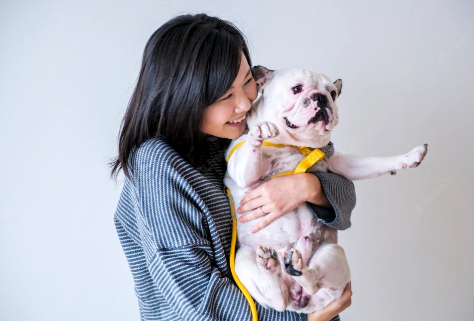 状況別の工夫：一人暮らしや多頭飼いの場合
