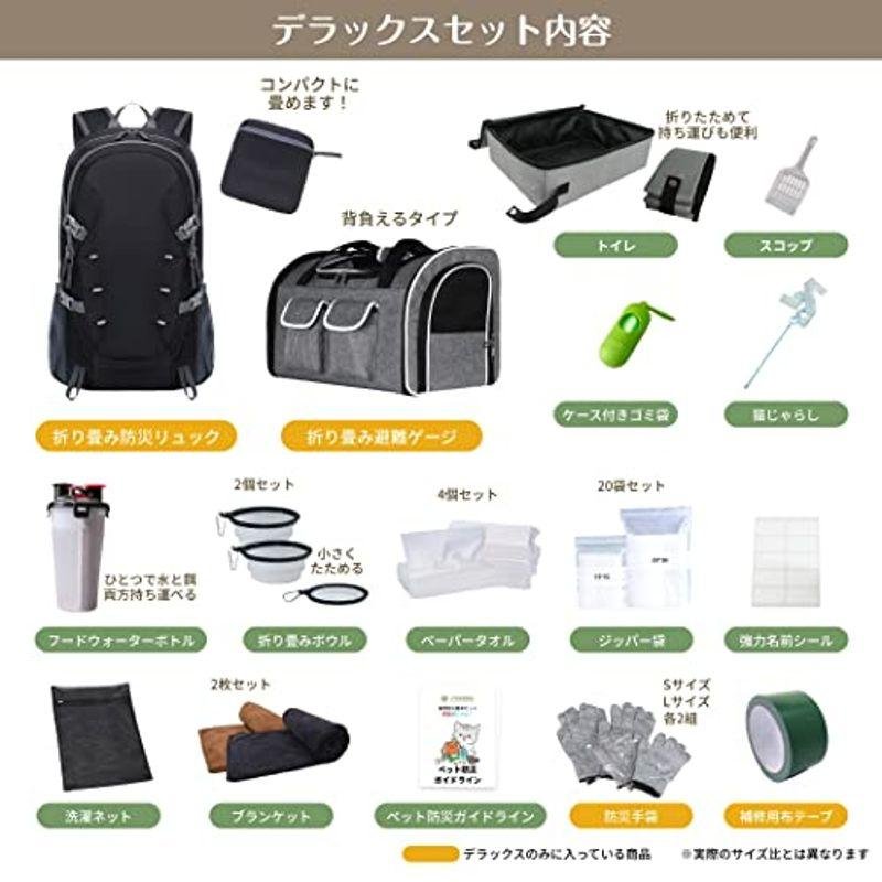 飼い主の心のケアと無理なく続ける工夫