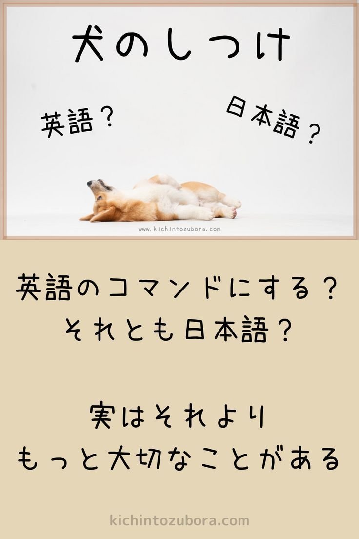 英語か日本語か?コマンドの言葉選びのコツ