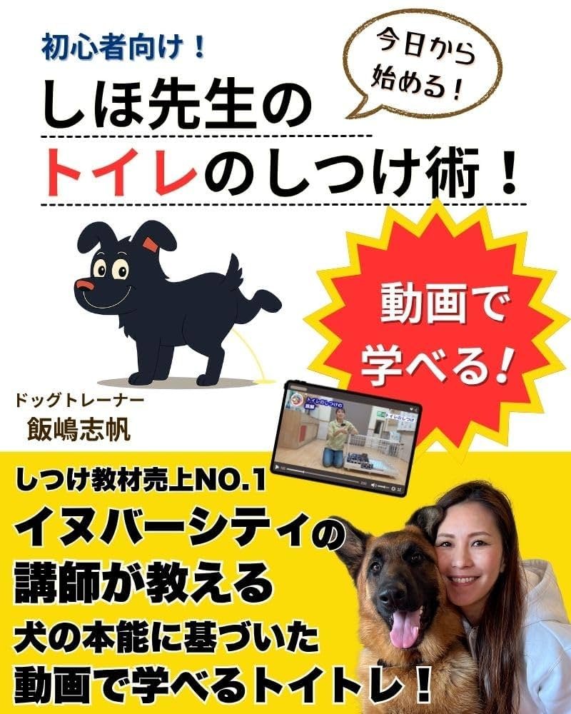 基本から見直すトイレトレーニングの手順