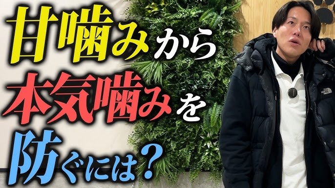 甘噛みと本気噛みの違いを見分けるポイント