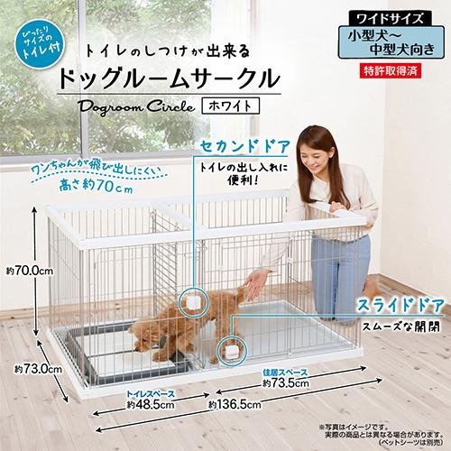 子犬と成犬で違うトイレしつけのポイント