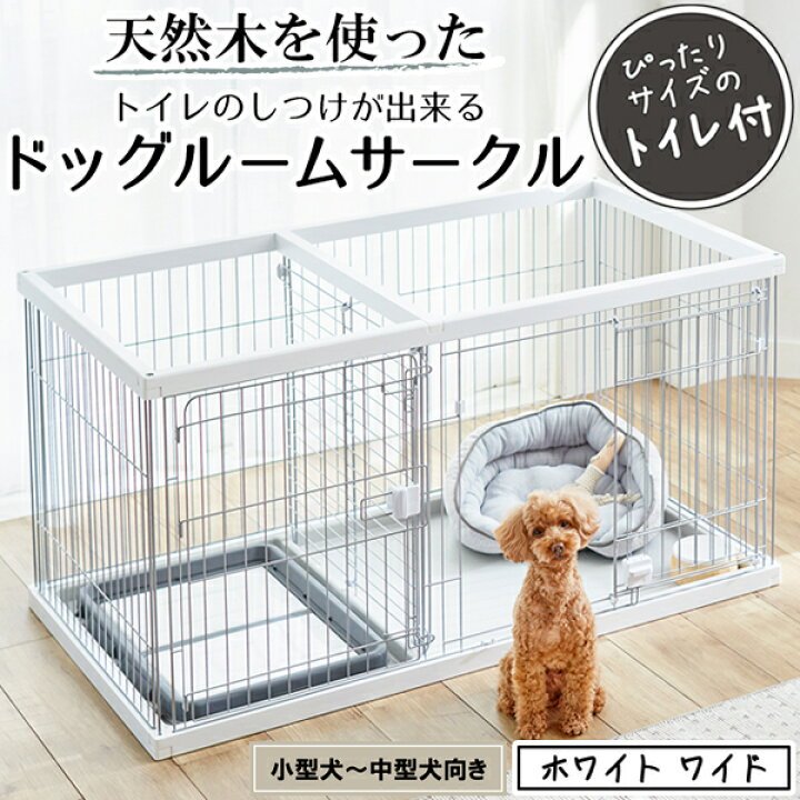 トイレの悩みが続くときの見直しチェックリスト