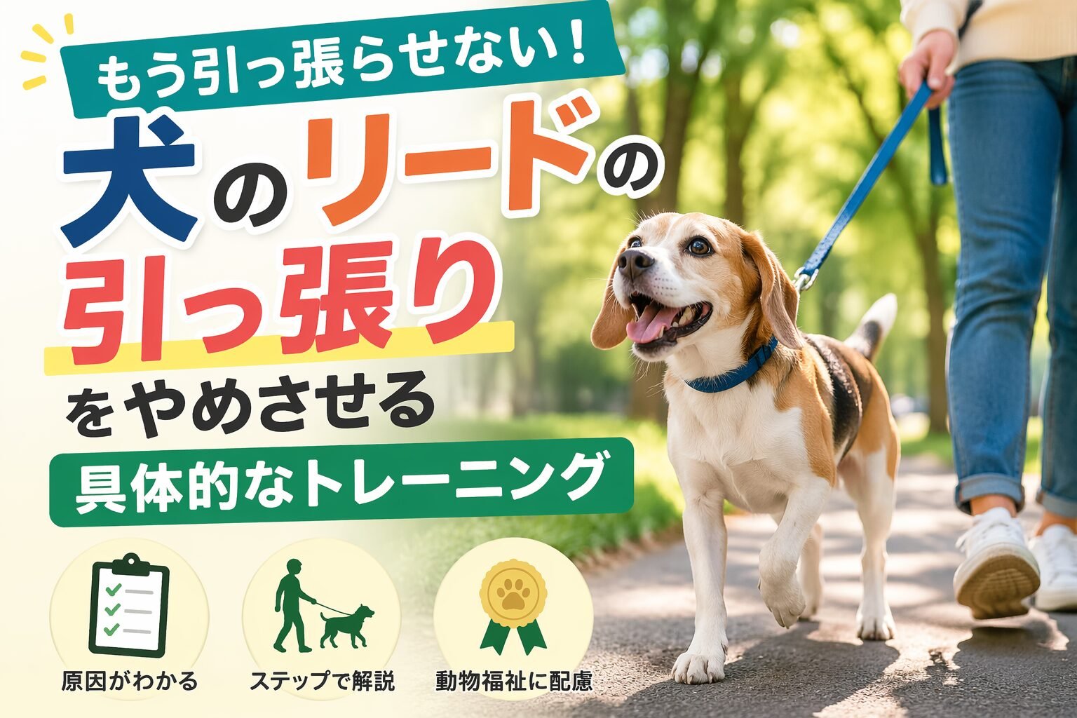 散歩で犬がリードを引っ張る主な原因