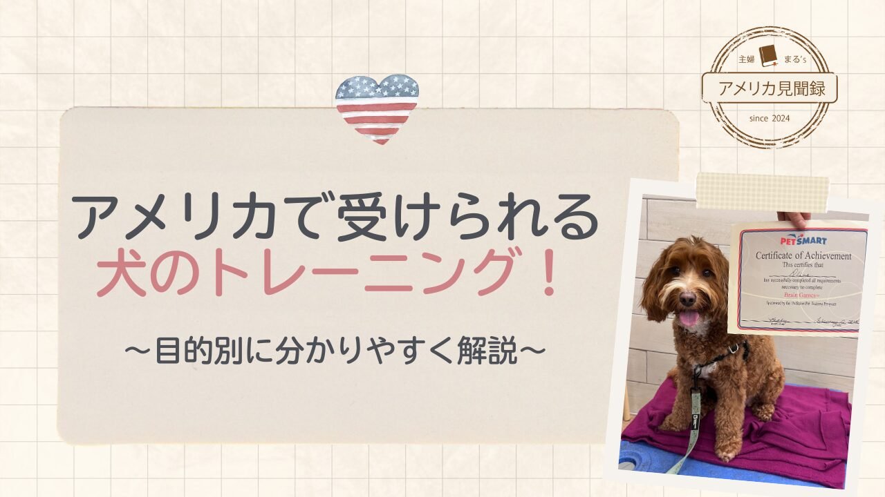 犬にコマンドを教える目的とメリット
