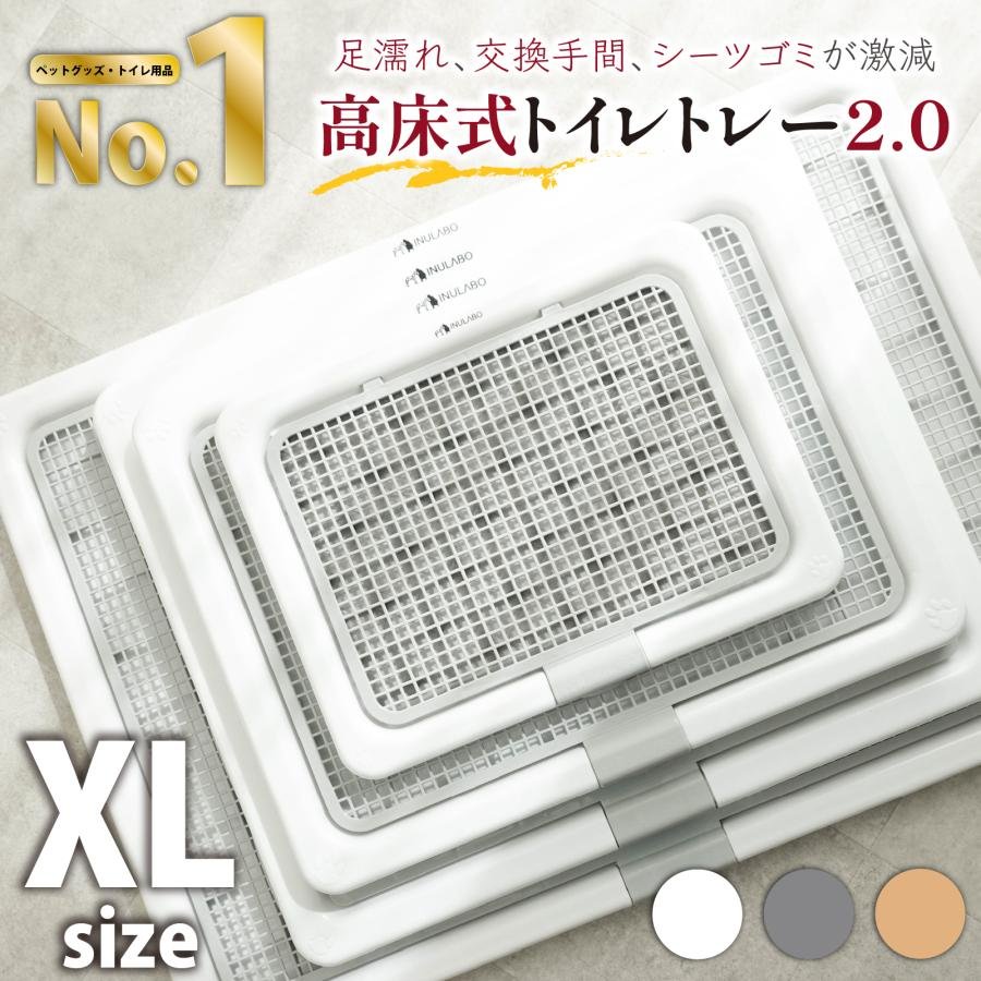 トイレトレーニング前に用意したい基本グッズ