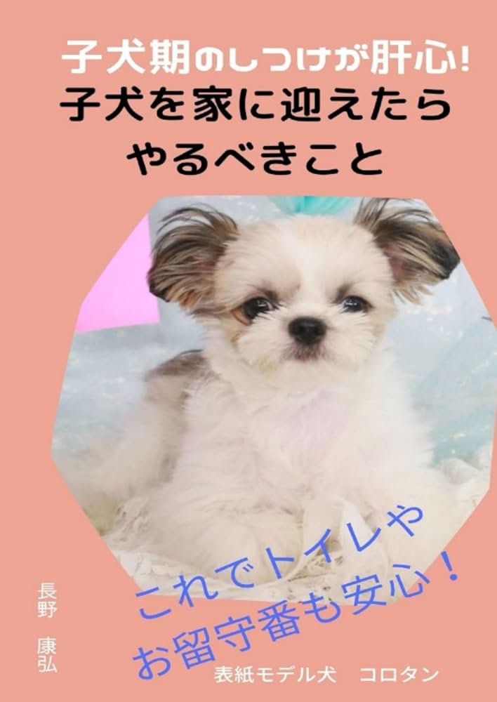 犬がトイレをなかなか覚えない主な原因