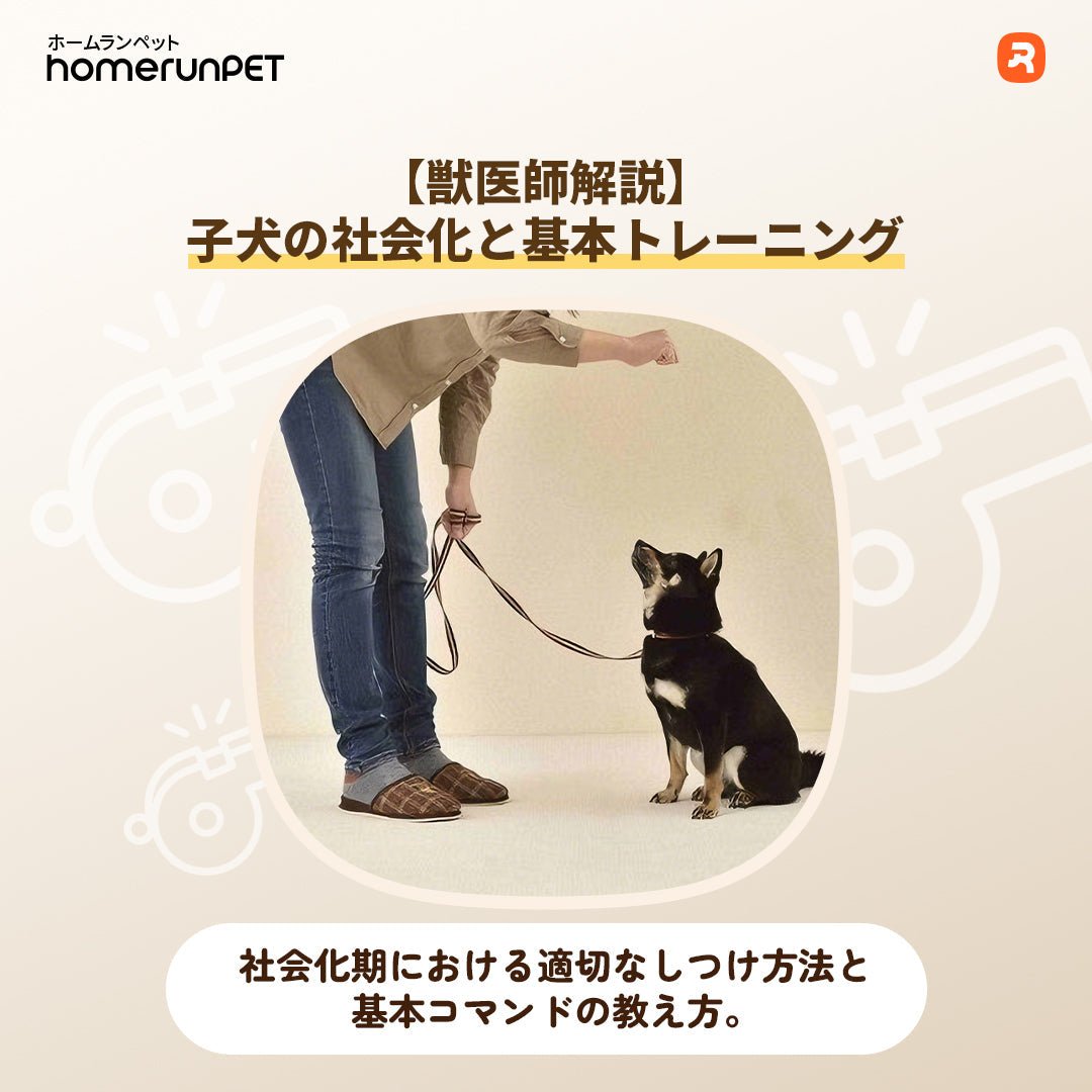 必ず教えたい基本コマンド一覧と教え方