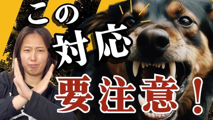 やってはいけないNG対応とよくある勘違い