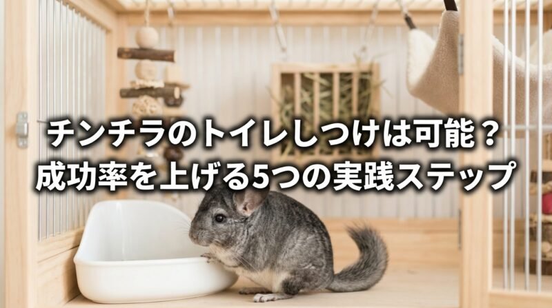 トイレ成功率を上げる環境づくりと工夫
