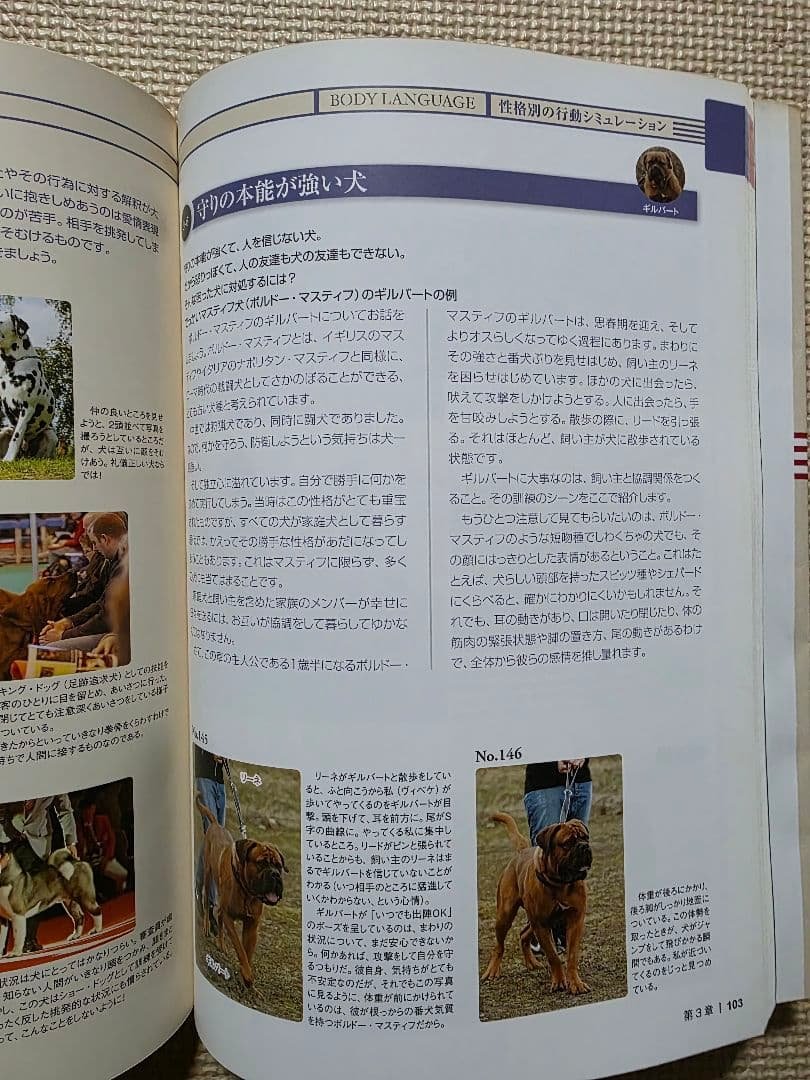 年齢や性格別のコマンド習得のポイント