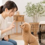 犬の分離不安、しつけでの治し方3手順で失敗しないコツ