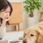 犬が元気ないけど食欲あるとき 病気を見逃さない5つの確認