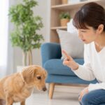 犬がトイレを失敗する7つの理由と絶対に叱らないしつけ