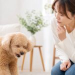 犬が咳をする原因と対処法 病気を見逃さないチェック法