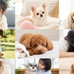ライフスタイル別 メス犬の人気名前ランキング