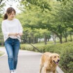 犬の散歩で引っ張る悩みを解消！失敗しないしつけ5つ