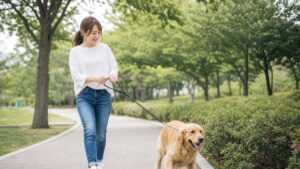 犬の散歩で引っ張る悩みを解消！失敗しないしつけ5つ
