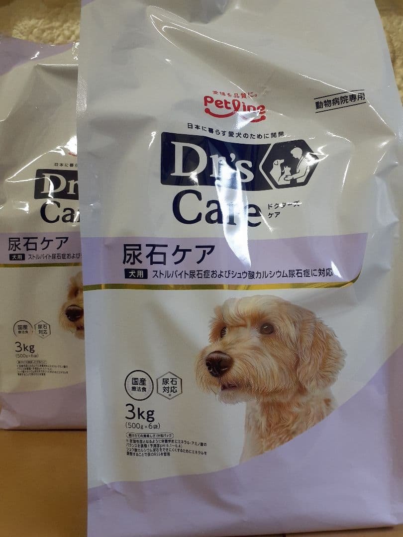 愛犬の様子がおかしいと感じたときの行動指針