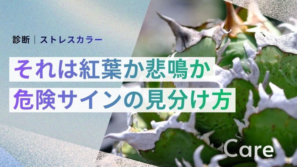 病気と見分ける3つのチェックポイント