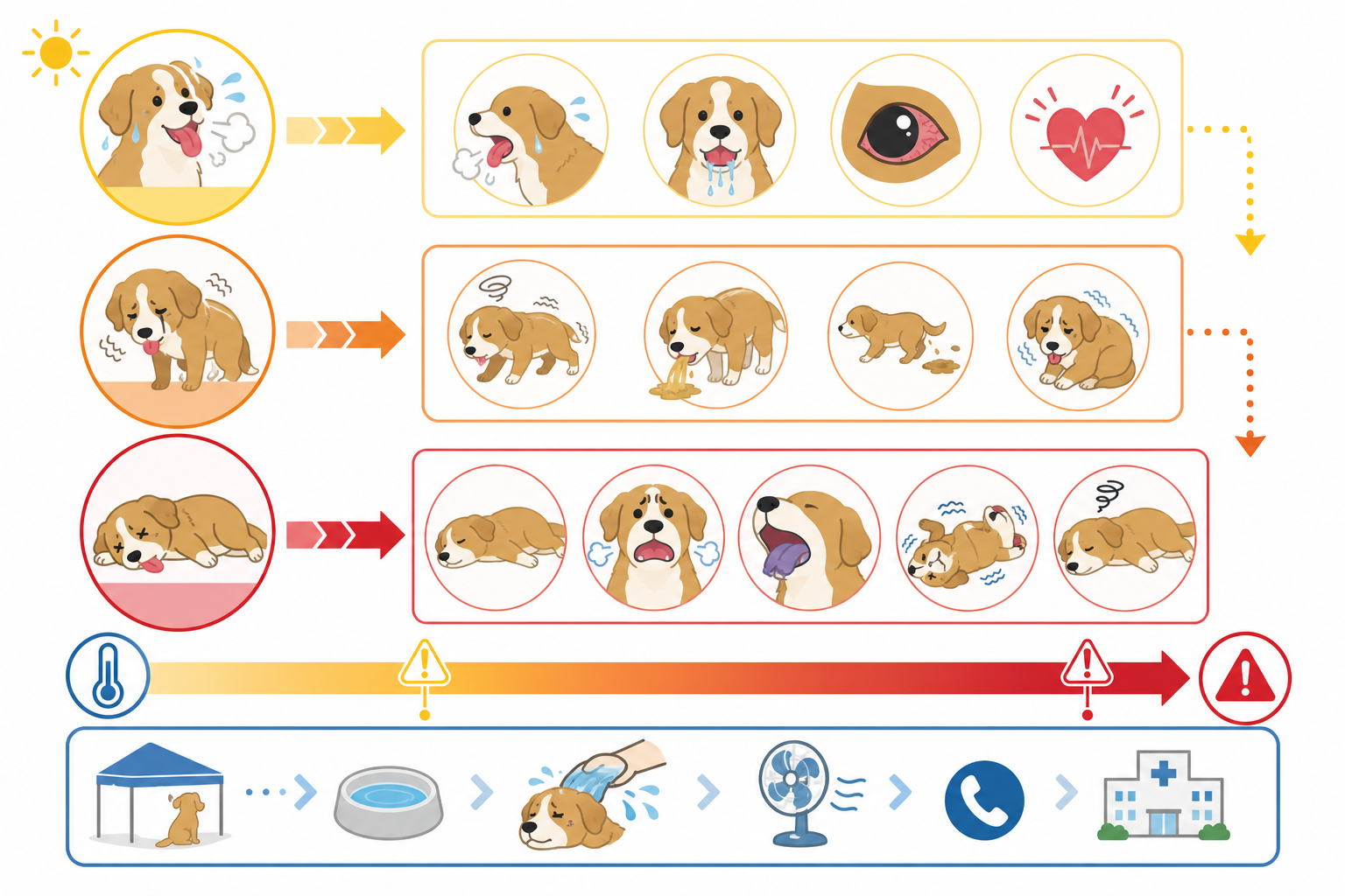 犬の熱中症の症状——初期サインから重篤化まで