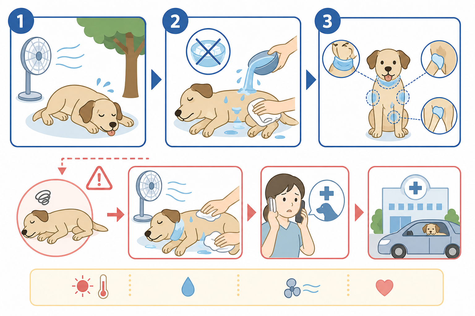 愛犬が熱中症になったときの応急処置——「まず冷やしてから病院へ」
