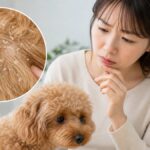 犬のフケが急に多い原因とは？病気で損しないための完全ガイド