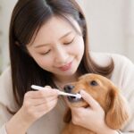 病気を防ぐ犬の歯磨き完全ガイド｜嫌がらず慣れさせる3ステップ