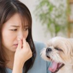 犬の口臭は病気のサイン？原因と失敗しない対策5つ