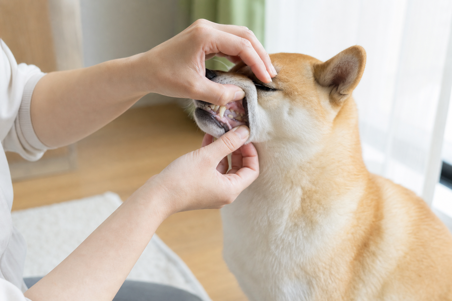 病気・体調不良が原因のあくびを見分けるチェックポイント