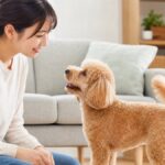 犬のしっぽを振る本当の意味は？勘違いして愛犬を不安にしない新常識