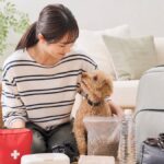 犬との暮らしで損しない防災グッズ必須リスト7選