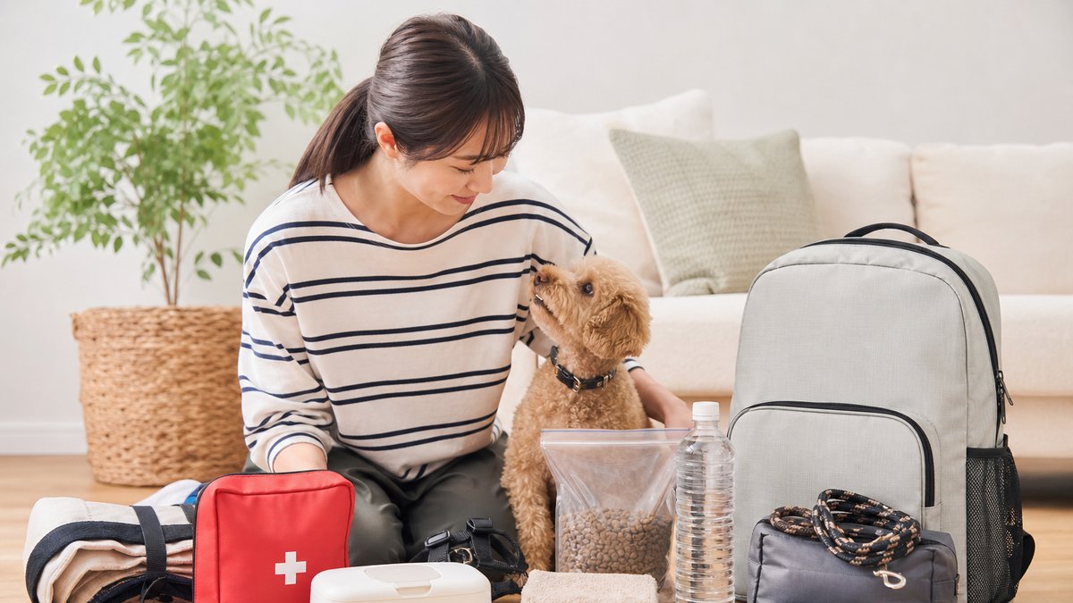 犬との暮らしで損しない防災グッズ必須リスト7選