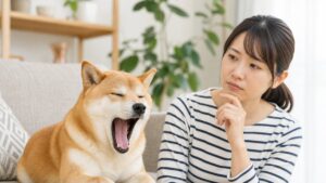 犬のあくびはストレス？病気？損しない見分け方5つ