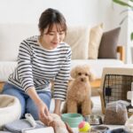 犬を迎える前の準備リスト25選｜失敗しない暮らし方の完全保存版