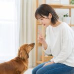 犬のマウンティングをやめさせるには？失敗しない5つのしつけ