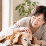 老犬の病気介護で損しないやり方7つの新常識
