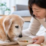 老犬がご飯を食べないときの工夫5選｜損しない介護食ガイド